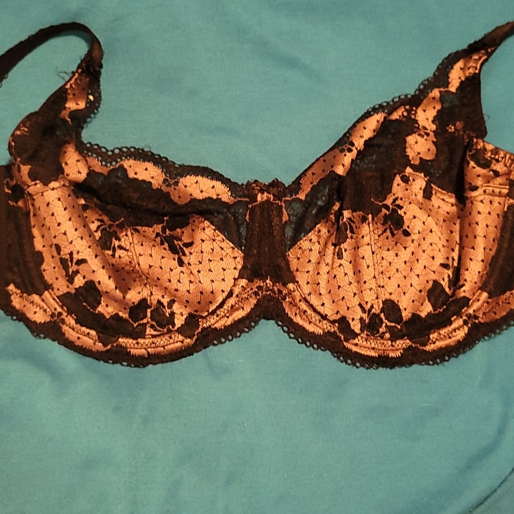 Panache bra 36dd
